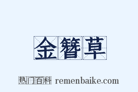 金簪草是什么意思的图片